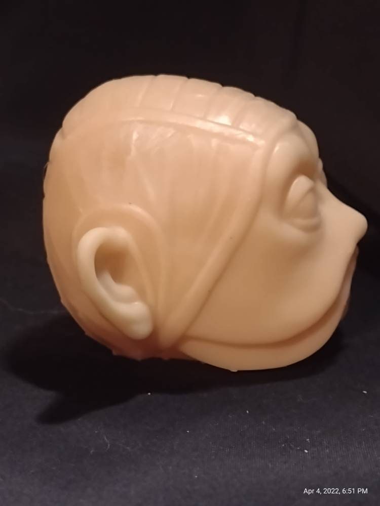 1/6 Scale Nien Nunb Head Sculpt- Custom Action Figure Accessory - Resin 3D Printed