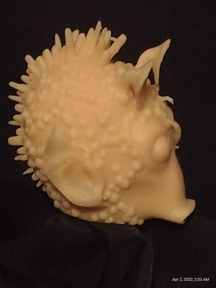 1/6 Greedo Head Sculpt - Custom Action Figure Accessory - Resin 3D Printed