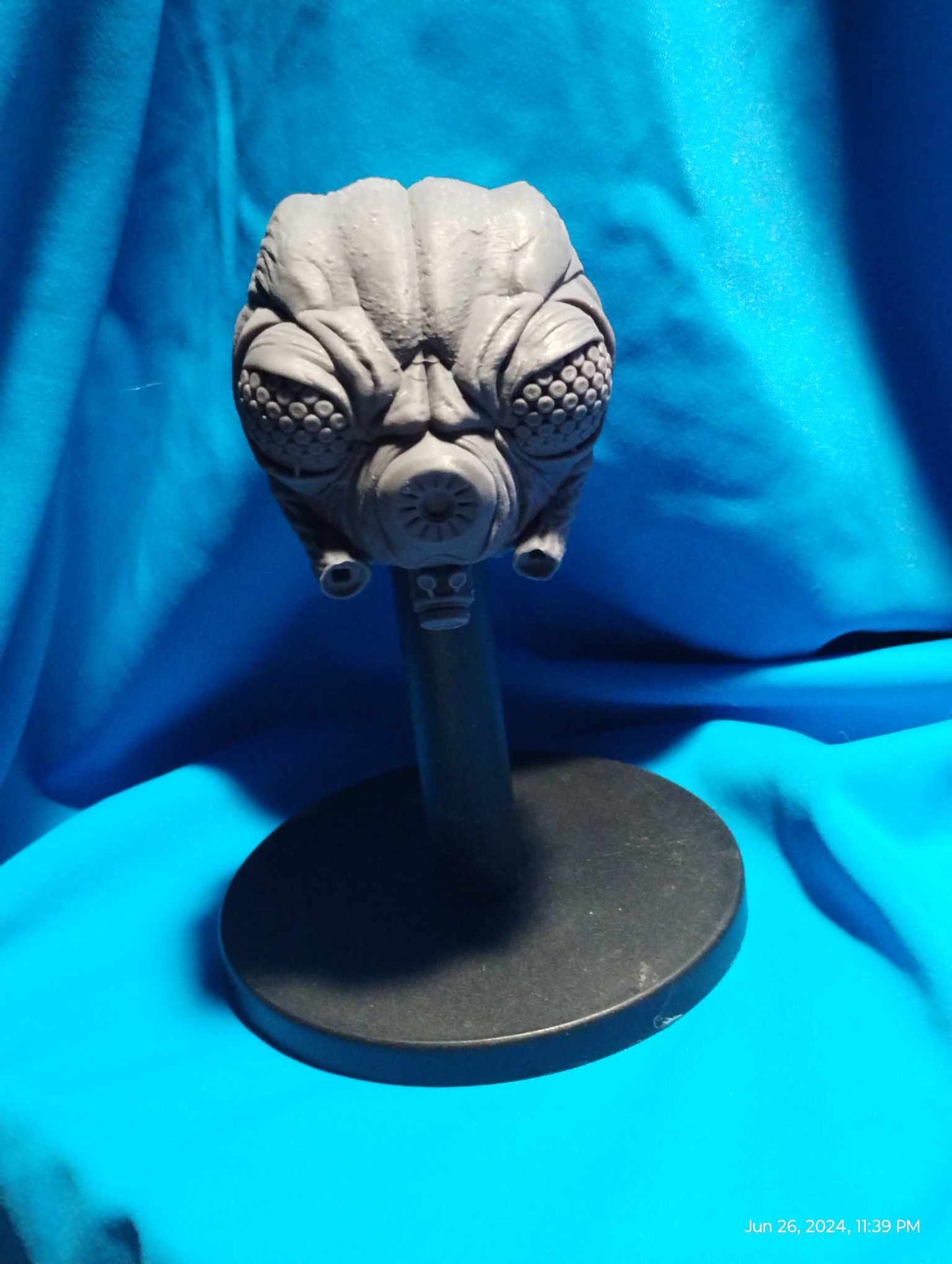 1/6 Zuckess Head Sculpt - Custom Action Figure Accessory - Resin 3D Printed