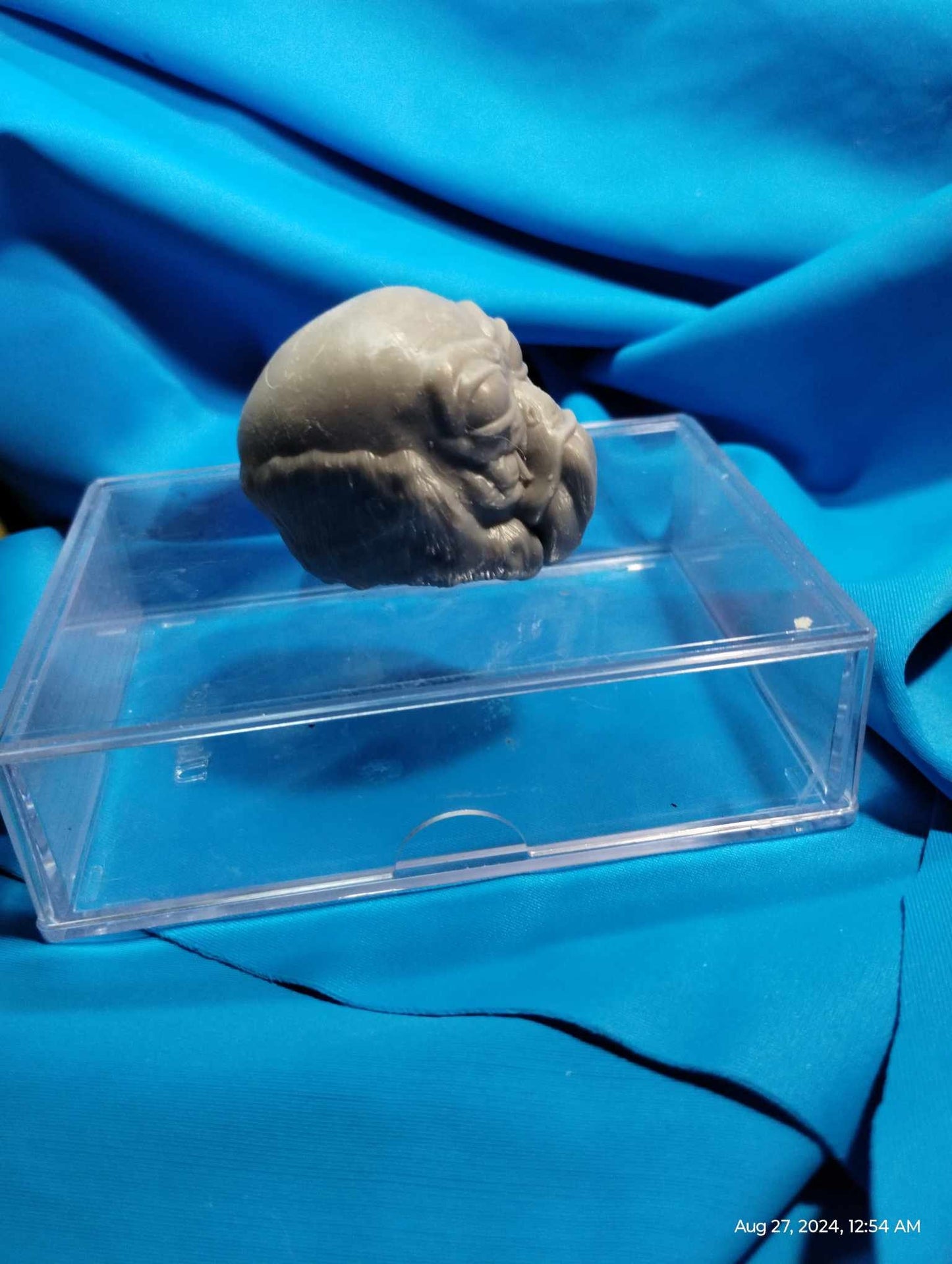 1/6 Aqualish Head Sculpt - Custom Action Figure Accessory - Resin 3D Printed - OBO