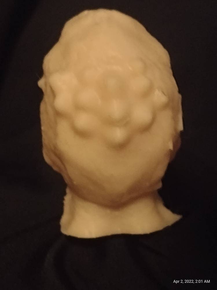 1/6  Weequay Head Sculpt with hands - Custom Action Figure Accessory - Resin 3D Printed