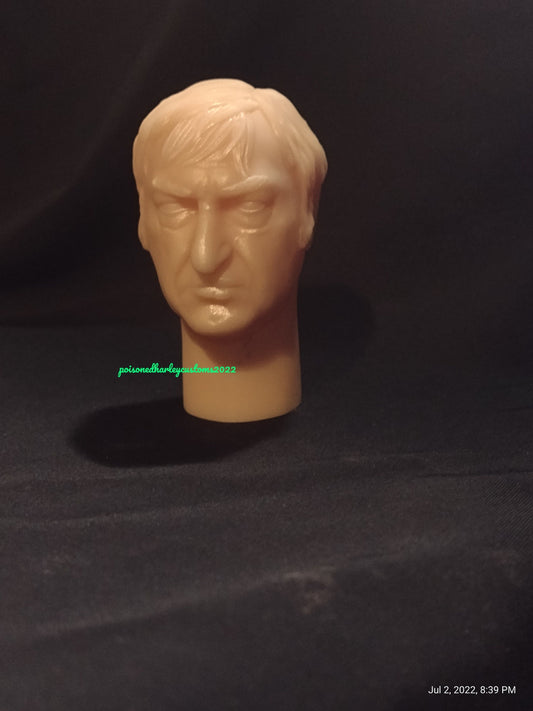 1/6  Wuher Head Sculpt (a new hope) - Custom Action Figure Accessory - Resin 3D Printed
