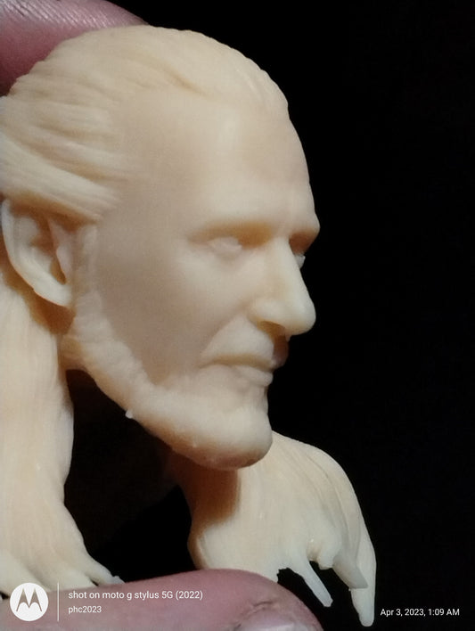 1/6  Qui Gon Head Sculpt V2 - Custom Action Figure Accessory - Resin 3D Printed