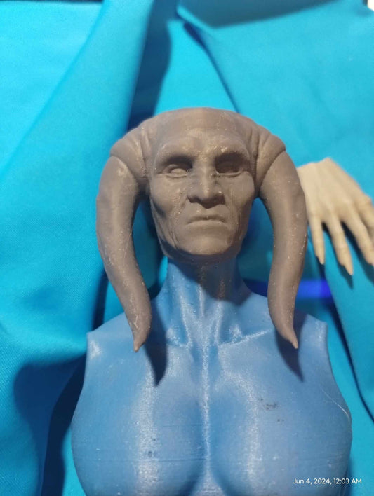 1/6 Saesee Tinn Head Sculpt v2  - Custom Action Figure Accessory - Resin 3D Printed