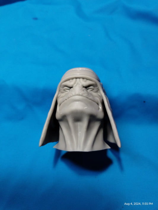 1/6 Scale Pao Head Sculpt(Rogue 1) - Custom Action Figure Accessory - Resin 3D Printed print