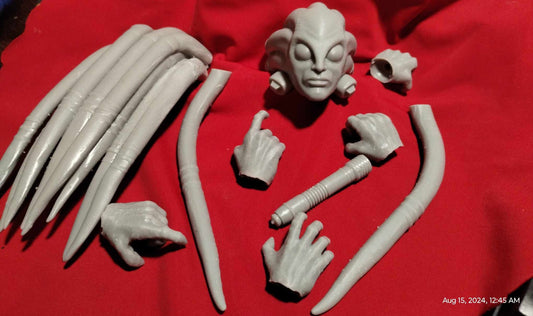 1/6 Kit Fisto Head Sculpt Set - Custom Action Figure Accessory - Resin 3D Printed