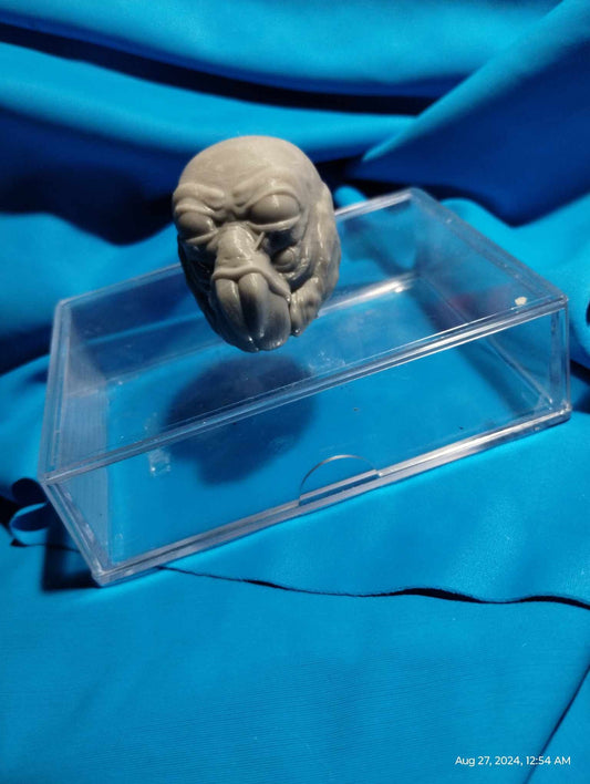 1/6  Aqualish Head Sculpt - Custom Action Figure Accessory - Resin 3D Printed - OBO