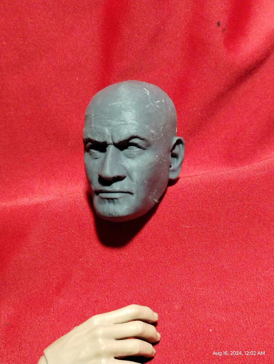 1/6 Clone Head Sculpt(random) - Custom Action Figure Accessory - Resin 3D Printed